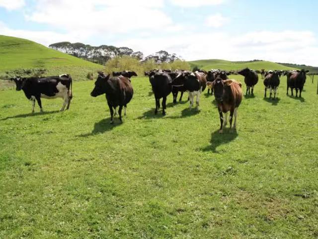 House for rent in Taranaki