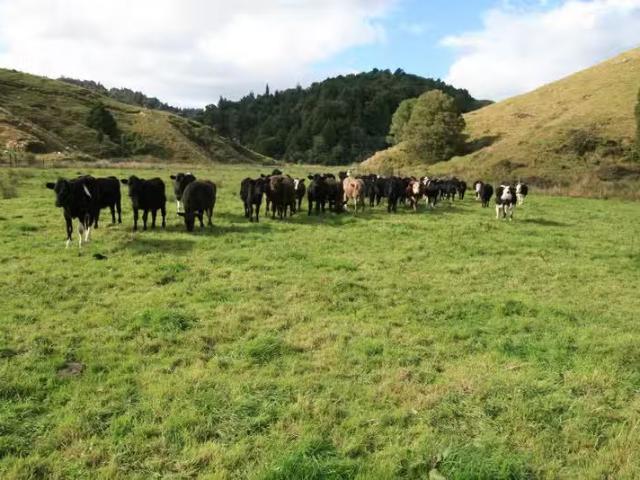 House for rent in Taranaki