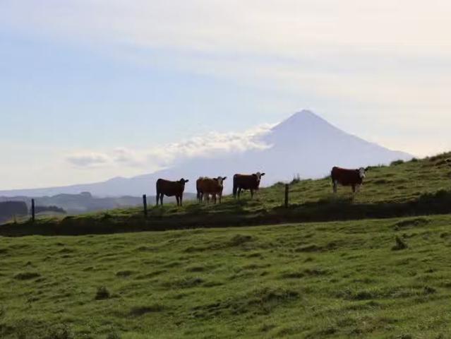 House for rent in Te Popo, Taranaki
