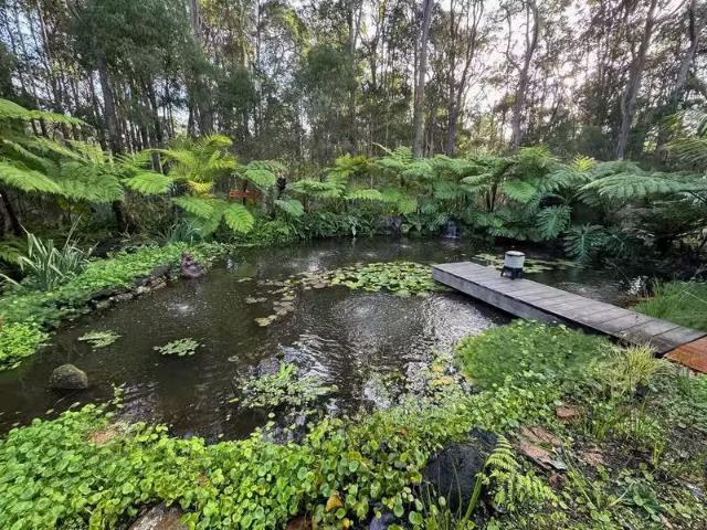 House for rent in Pemberton, Western Australia