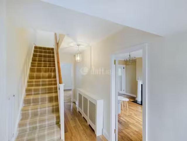 House to rent