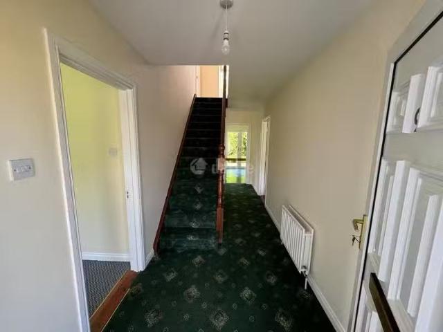 House to rent