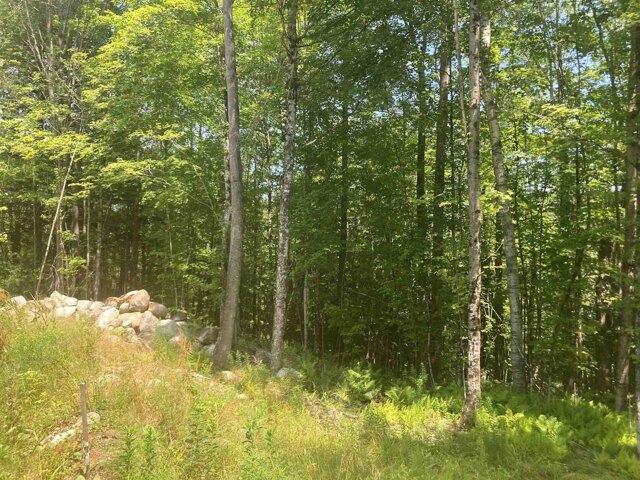 Land for sale in New Hampshire