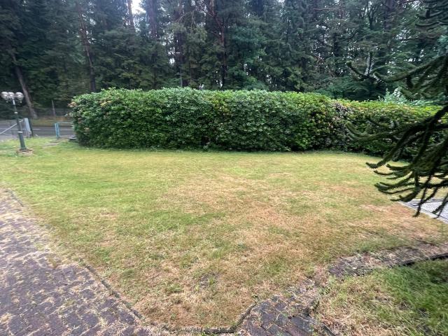 Apartment mieten in Eversen, Appel
