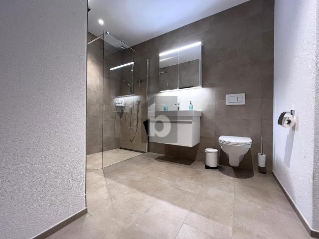 Apartment mieten in Menziken, Aargau