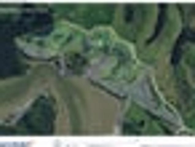 Land for sale in Waikato