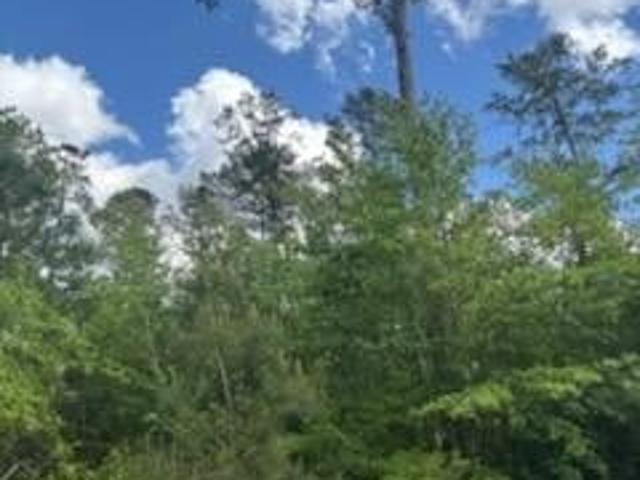 Land for sale in Fitzgerald, Georgia