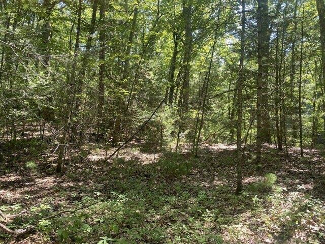 Land for sale in Massachusetts