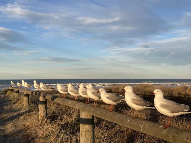 Apartment for rent in Christchurch, Canterbury