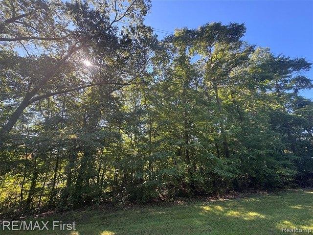 Land for sale in New Buffalo, Berrien County
