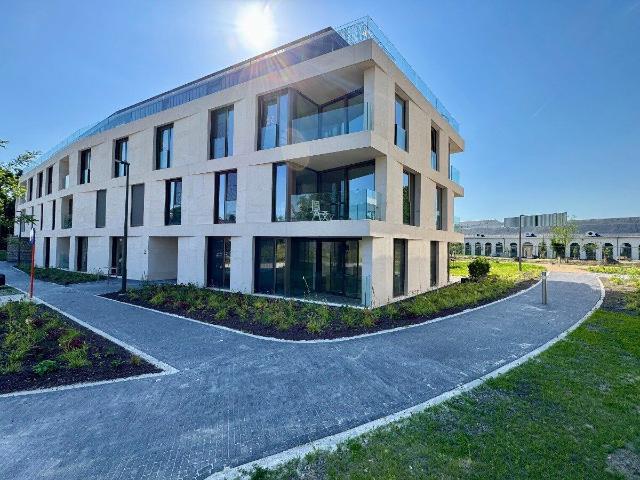 Kot location à Panquin-site, Tervuren
