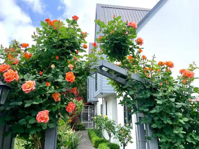 House for rent in Canterbury