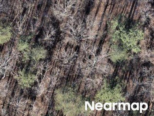 Land for sale in Gardendale, Alabama