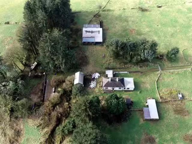 House to rent