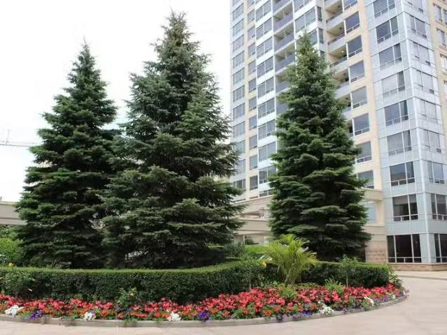 Condo for rent in Woburn, Ontario