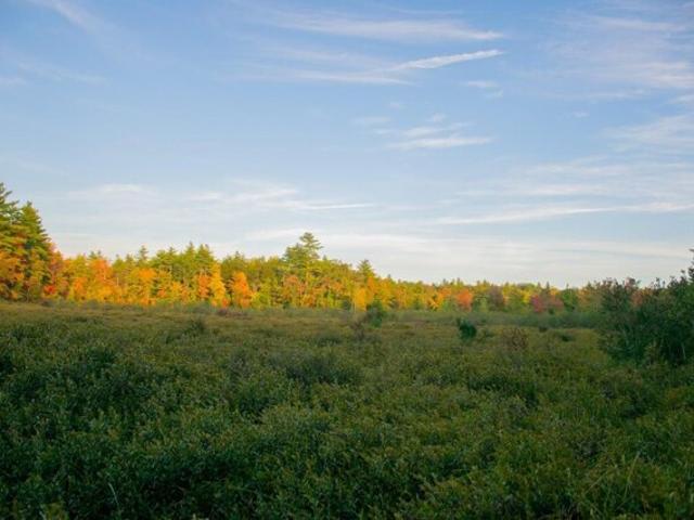 Land for sale in East Waterboro, Maine