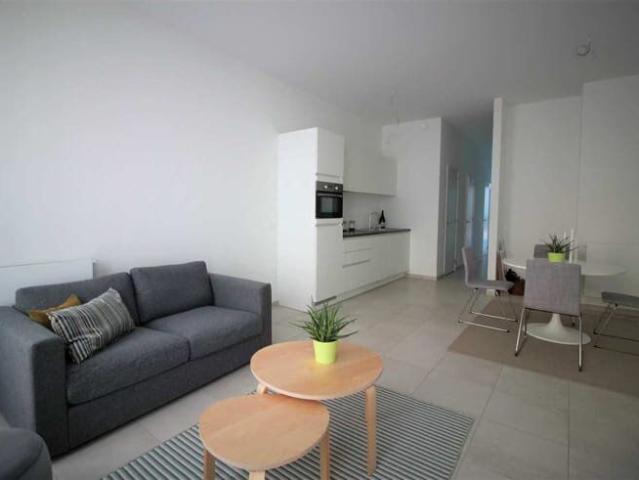 Kot location à Antwerpen