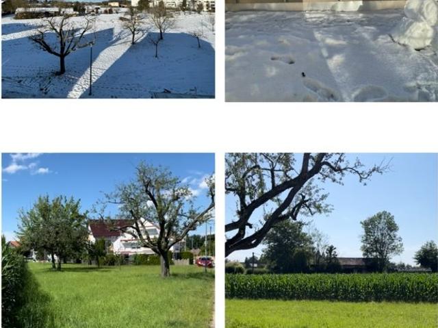 Haus mieten in Neue Vorstadt, Stuttgart