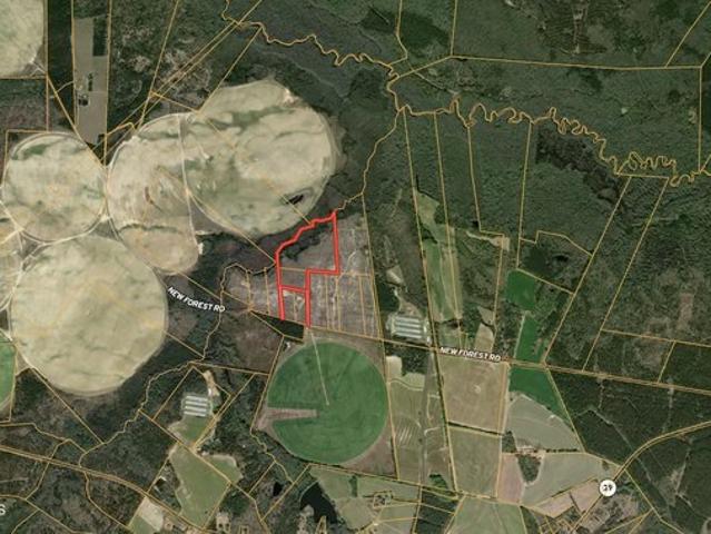 Land for sale in Barnwell, South Carolina