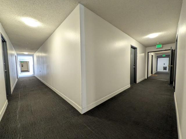 Apartment for rent in Canoga Park, California