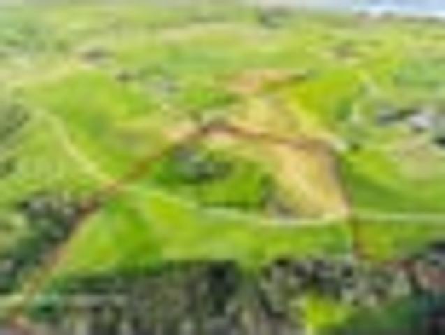 House for sale in Northland