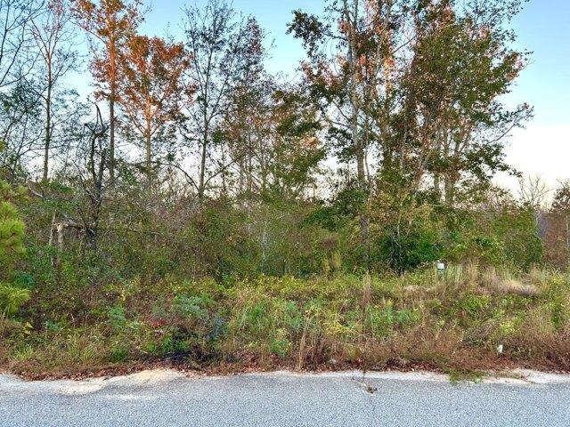 Land for sale in Hephzibah Land for sale in Hephzibah
