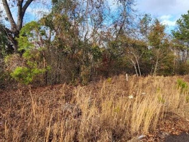 Land for sale in Hephzibah Land for sale in Hephzibah