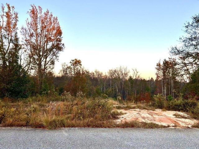 Land for sale in Hephzibah Land for sale in Hephzibah
