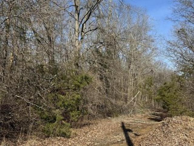 Land for sale in Corinth, Mississippi