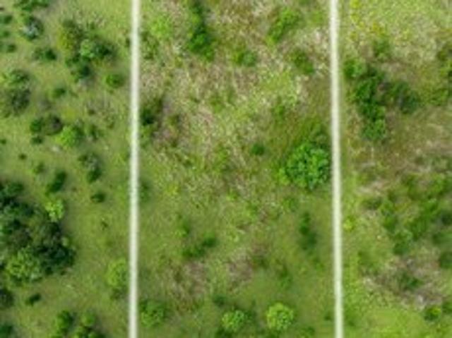 Land for sale in Santo, Texas
