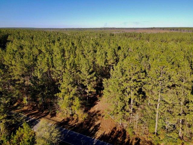 Land for sale in Wiggins, Mississippi