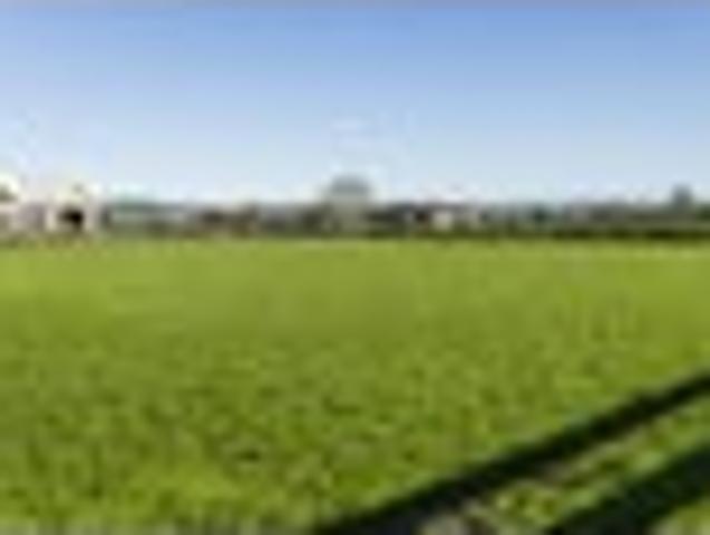 Land for sale in East Coast