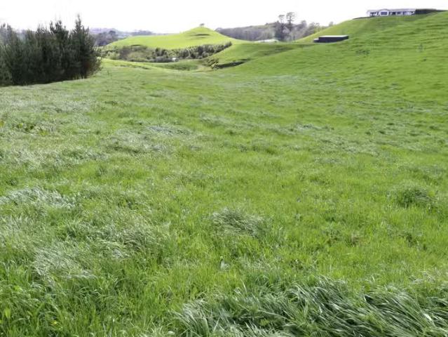 House for rent in Inglewood, New Plymouth District
