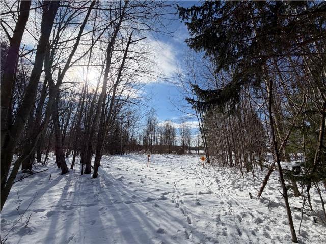 Land for sale in Derby, New York