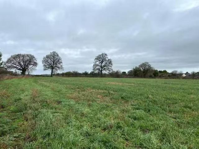 House for rent in Marston Magna, Somerset