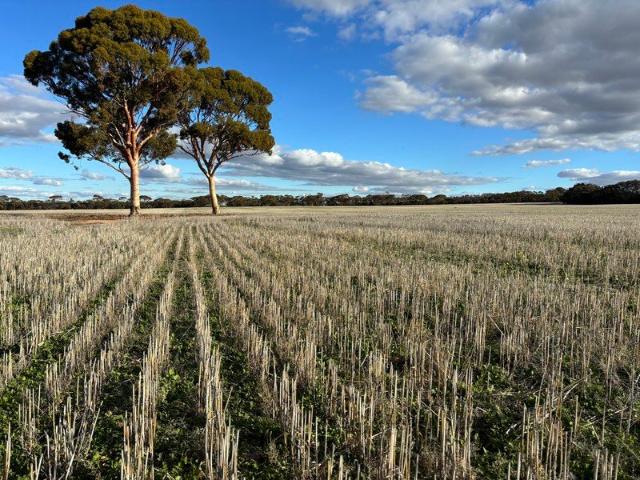 Property for sale in Marvel Loch, Western Australia
