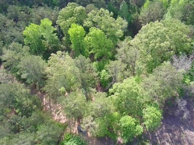 Land for sale in Sturgis, Mississippi