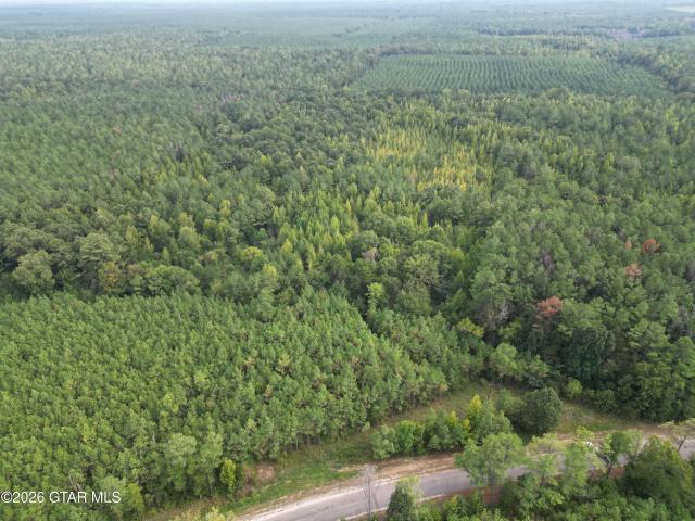 Land for sale in Starkville, Mississippi