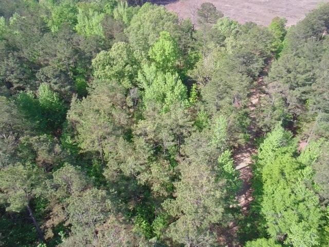 Land for sale in Sturgis, Mississippi