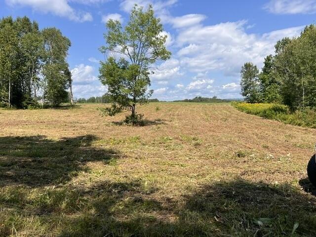 Land for sale in Linneus, Maine