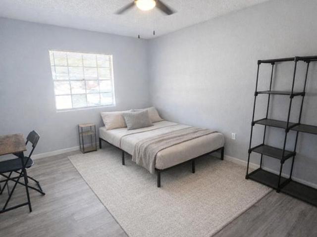 Room for rent in Tampa, Florida