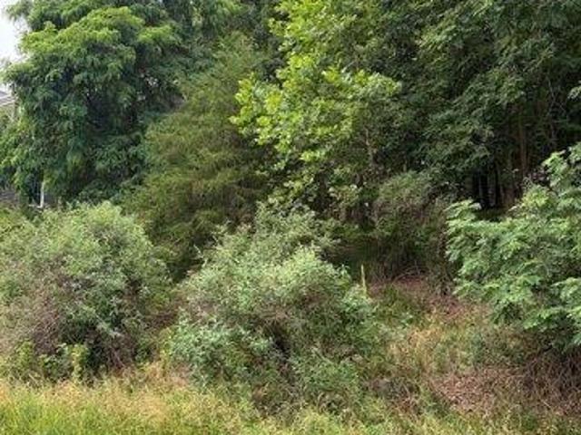 Land for sale in New Market, Maryland