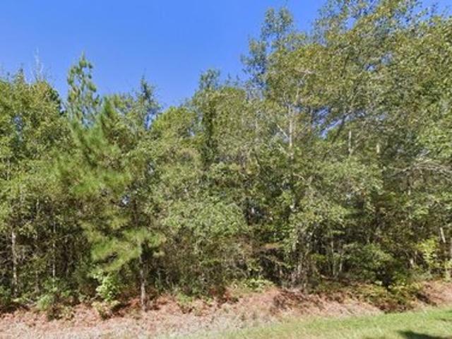 Land for sale in Reevesville, South Carolina