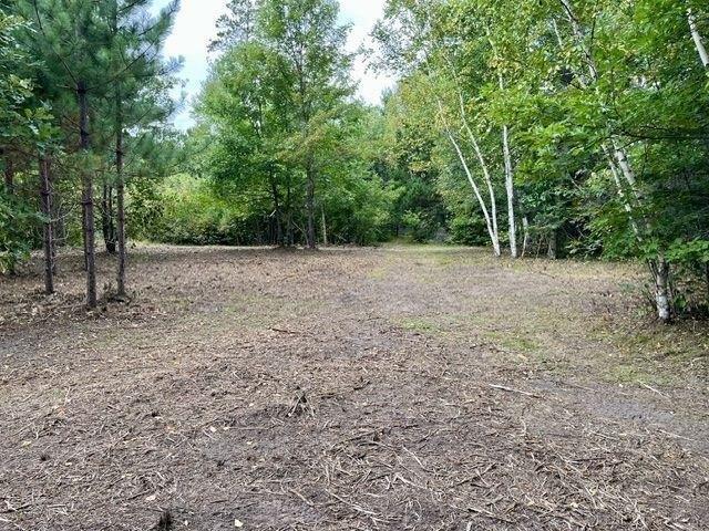 Land for sale in Hubbard, Minnesota