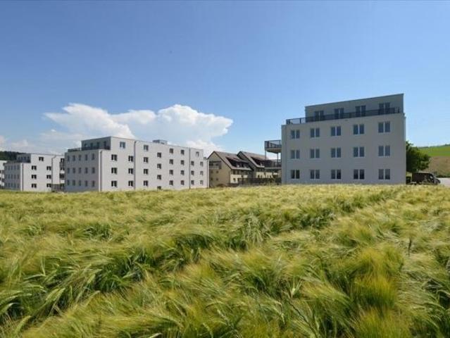 Apartment mieten in Köniz, Bern