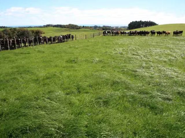 House for rent in Ōkato, New Plymouth District