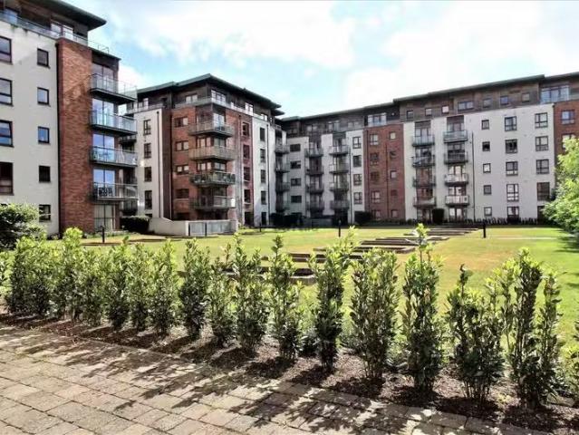 Apartment to rent