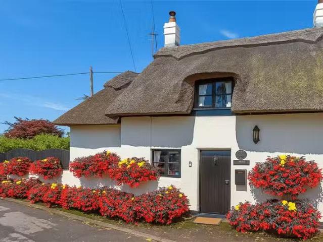 House for rent