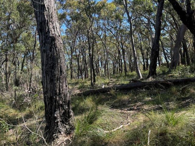 Land for sale in Pindimar, New South Wales
