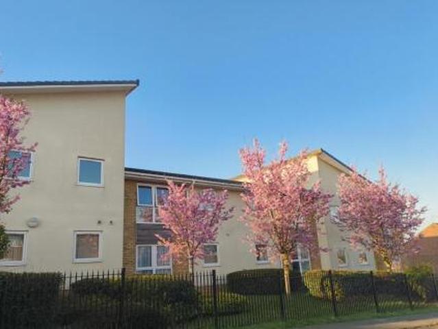 Room for rent in Ise Lodge, Kettering